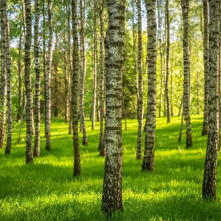 Bed and Breakfast Dom Goscinny Stara Szkola Wysoka Wieś