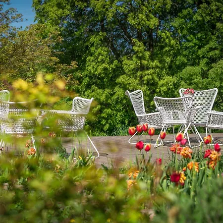 Bed and Breakfast Dom Goscinny Stara Szkola